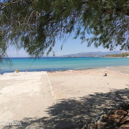 Beach n Fun BBQ Fireplace Saronida Zimmer foto